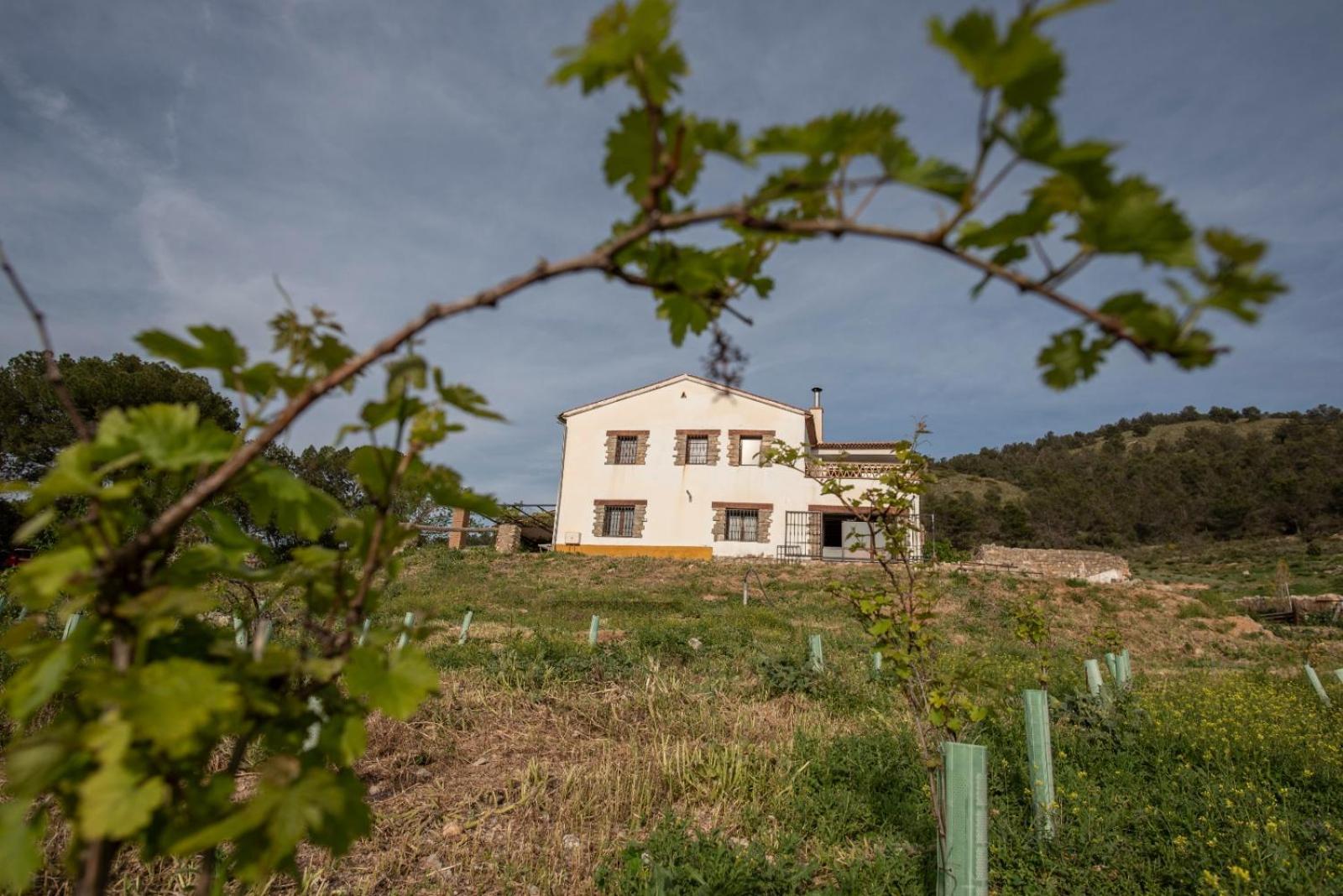Casa Dehesa San Cristobal, Jaen Βίλα Εξωτερικό φωτογραφία